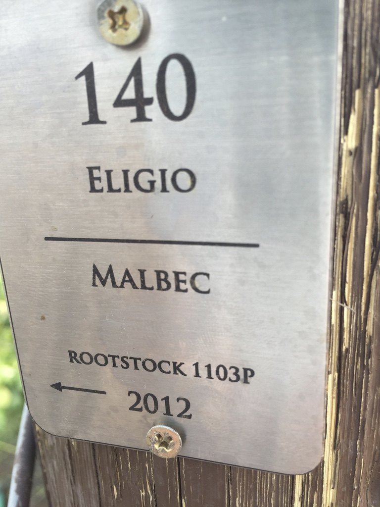 Eligio Malbec vineyard marker — Plot 140, Rootstock 1103P, planted 2012